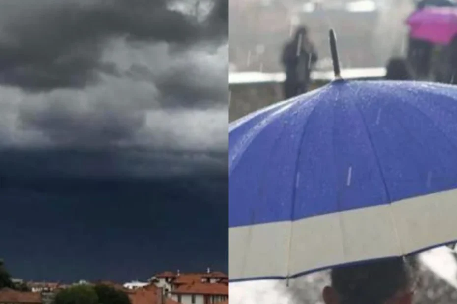 Italia Freddo