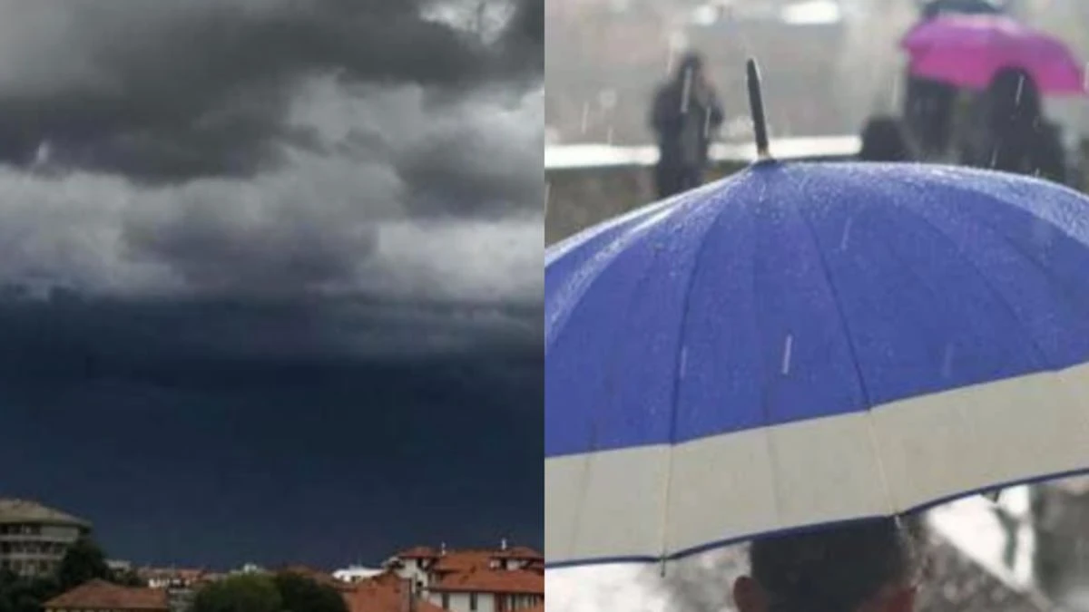 Italia Freddo