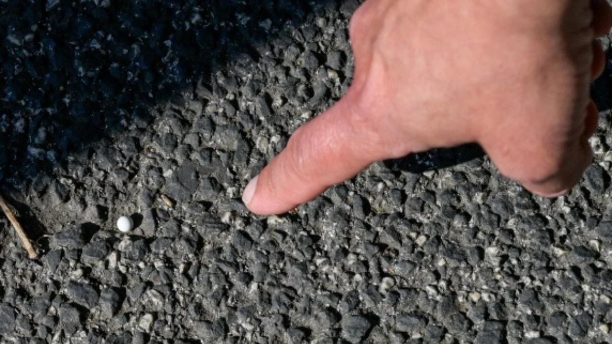 Scooter e area dell'agguato ricostruiti dalle indagini sugli spari vicino al parco Schuster a Roma