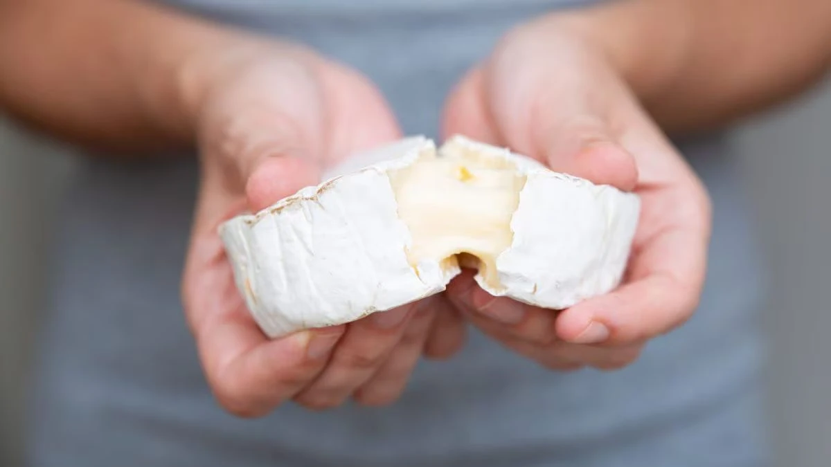 formaggio ritirato dai supermercati rischio contaminazione i lotti interessati da Tvzap.it formaggio ritirato dai supermercati rischio contaminazione i lotti interessati
