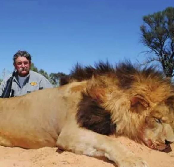 Gabon, l'imprenditore Ernie Dosio ucciso durante la caccia al trofeo: travolto da elefanti