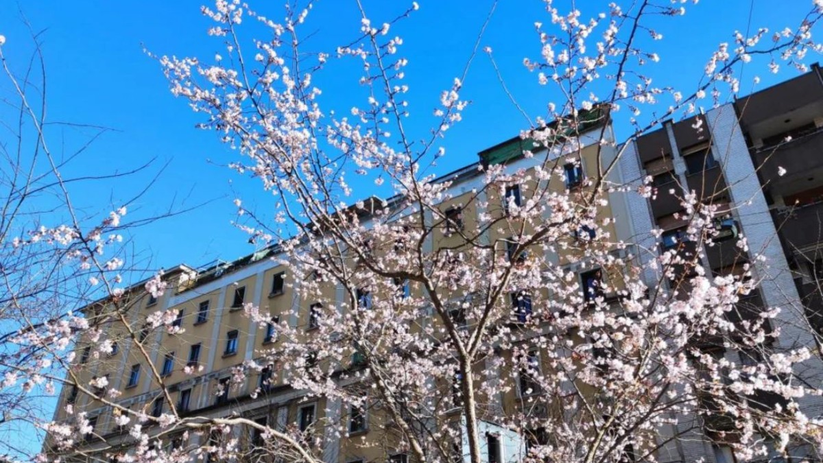 meteo cambia tutto che tempo far224 tra 25 aprile e 1 maggio da Tvzap.it meteo cambia tutto che tempo far224 tra 25 aprile e 1 maggio