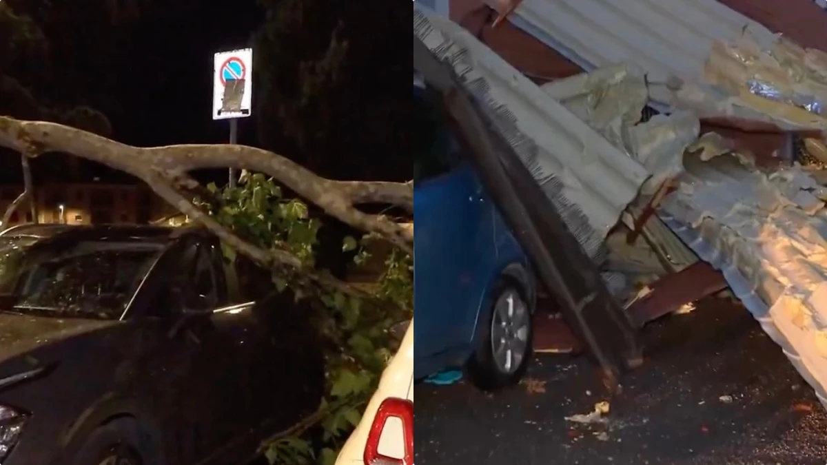 Danni del temporale a Verona con alberi caduti e allagamenti