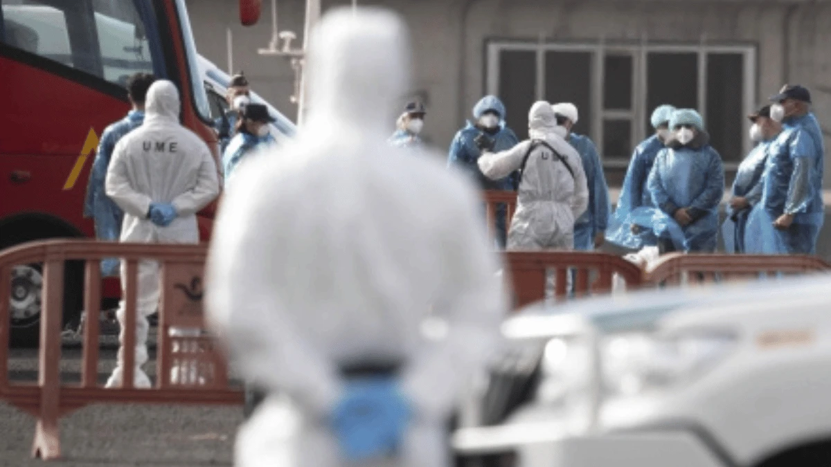 Immagine informativa sull’Hantavirus