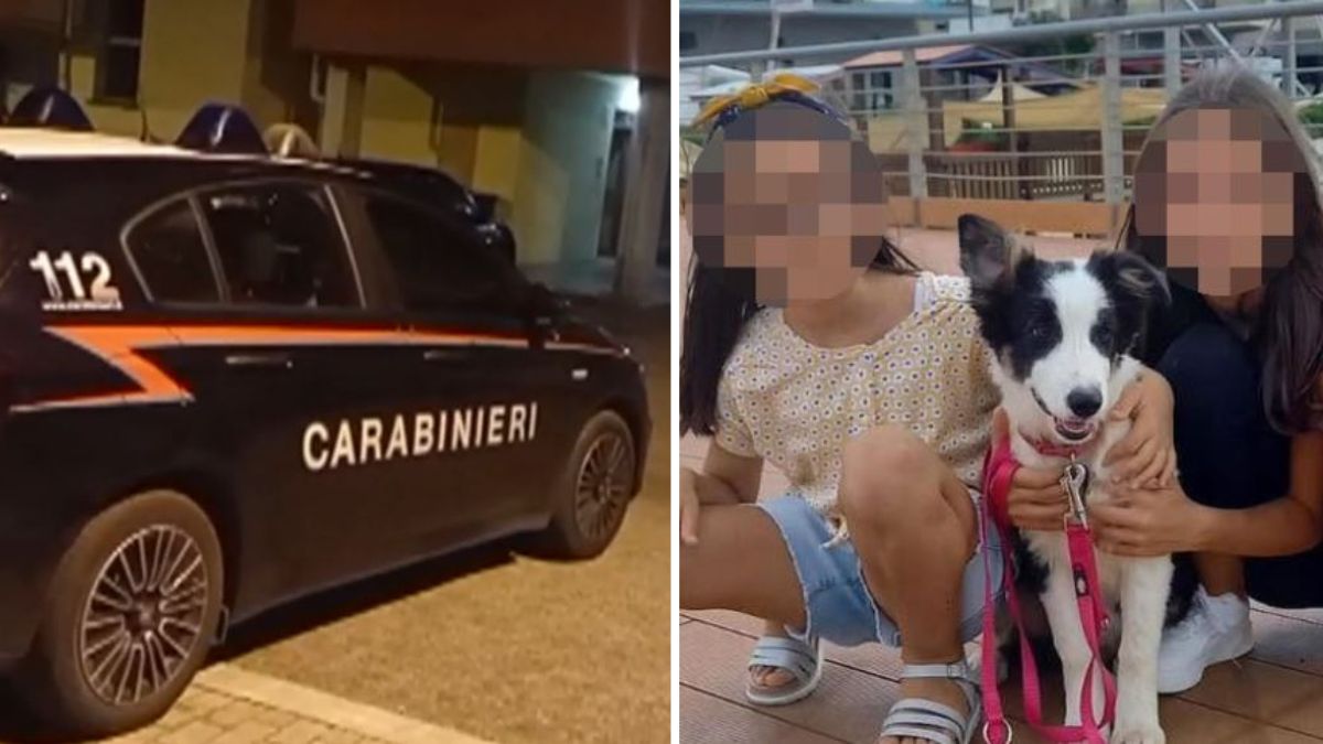 sorelle ritrovate la notizia dal carcere sul nonno e il compagno della madre da Tvzap.it sorelle ritrovate la notizia dal carcere sul nonno e il compagno della madre
