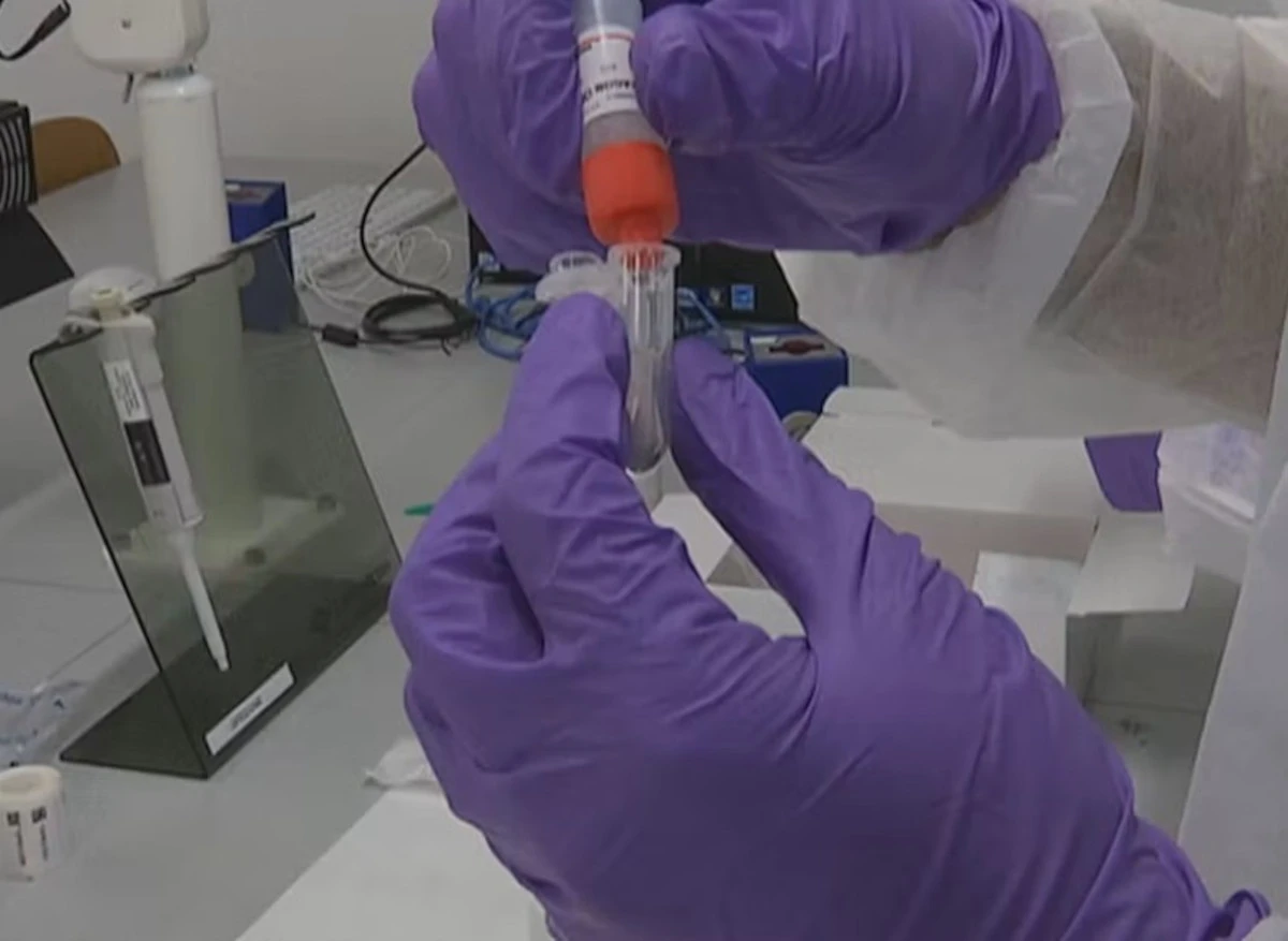 Immagine simbolica legata alle analisi del DNA nel caso Garlasco
