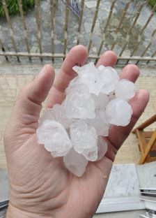 Piemonte, tempesta di vento improvvisa: danni e disagi in pochi minuti