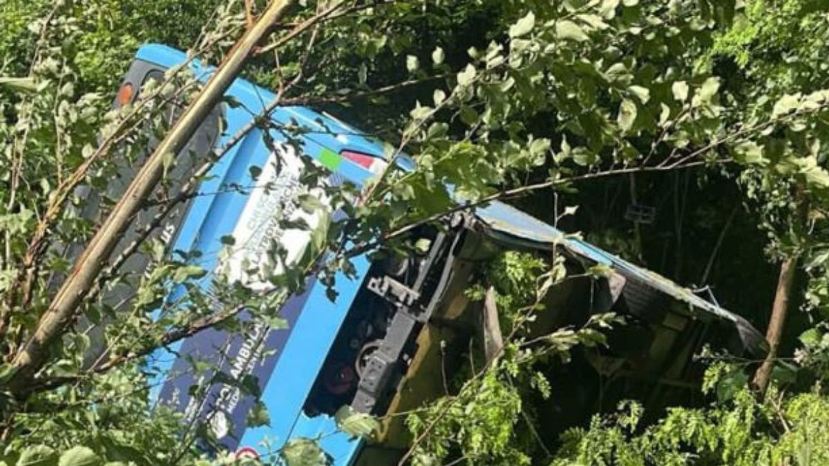italia autobus esce di strada e precipita per 20 metri da Tvzap.it italia autobus esce di strada e precipita per 20 metri