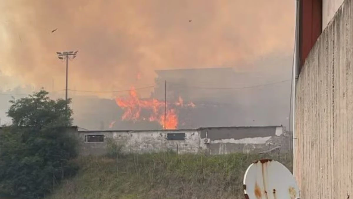 fiamme altissime e fumo terrore all8217accademia militare italiana il rogo in un istante da Tvzap.it fiamme altissime e fumo terrore all8217accademia militare italiana il rogo in un istante