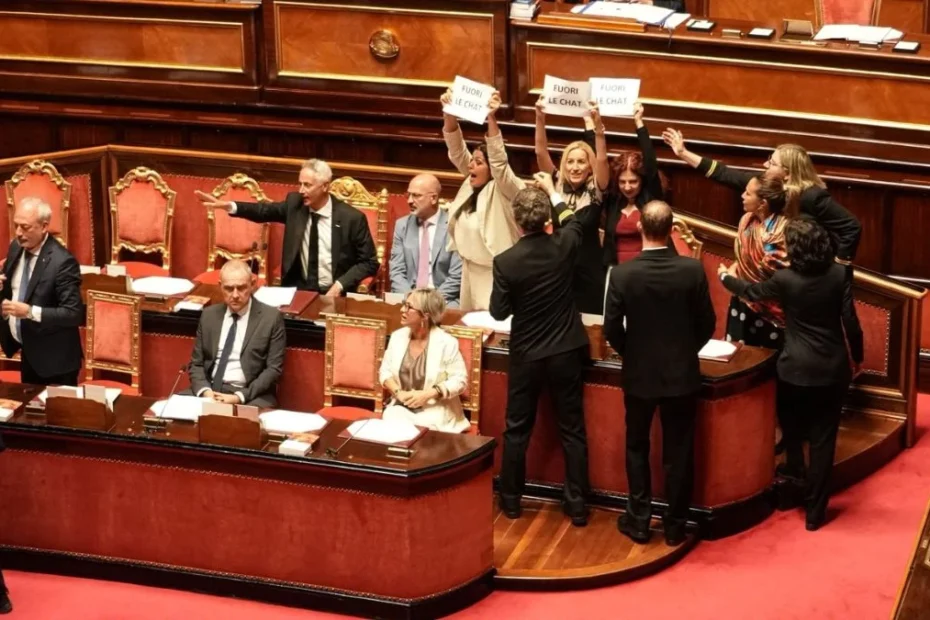 Aula parlamentare durante una seduta
