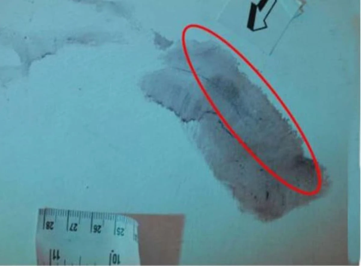 Impronta al centro degli accertamenti sul caso Garlasco