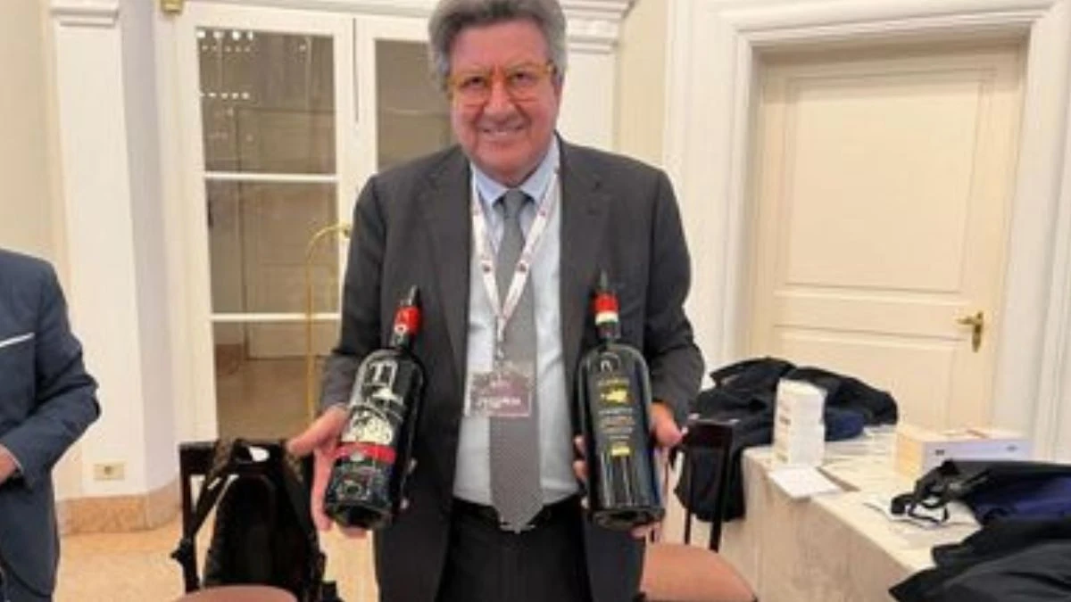 Vigneti e territorio legati al lavoro di Franco Bernabei