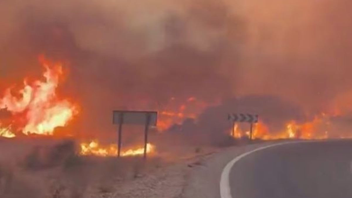 incendio devastante nella notte ci sono morti da Tvzap.it incendio devastante nella notte ci sono morti