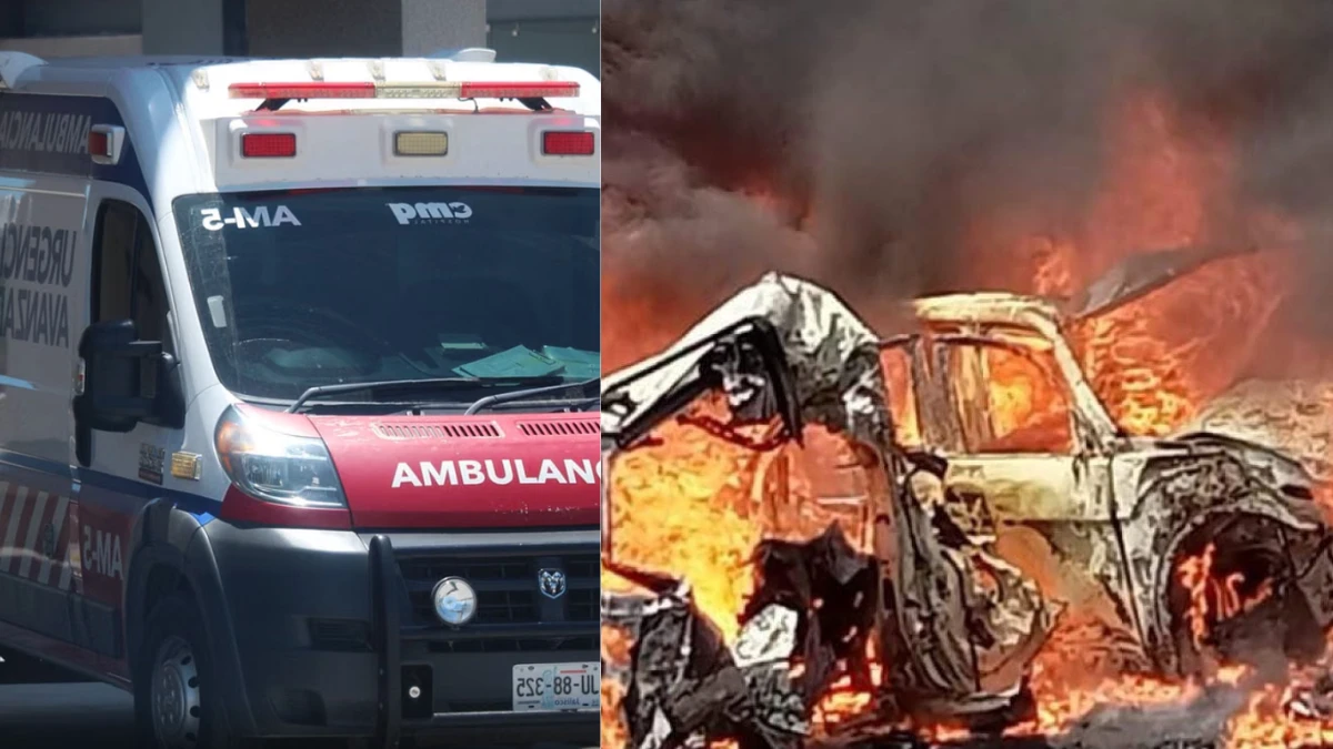 camion travolge veicoli in autostrada 232 strage anche bambini da Tvzap.it camion travolge veicoli in autostrada 232 strage anche bambini