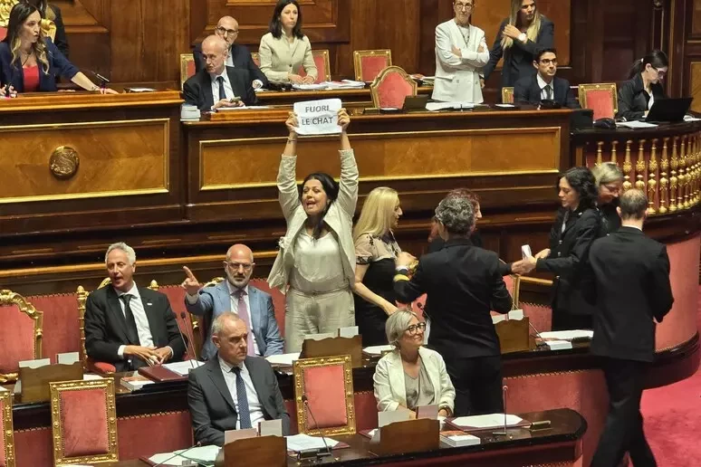 Protesta dei parlamentari durante la seduta al Senato