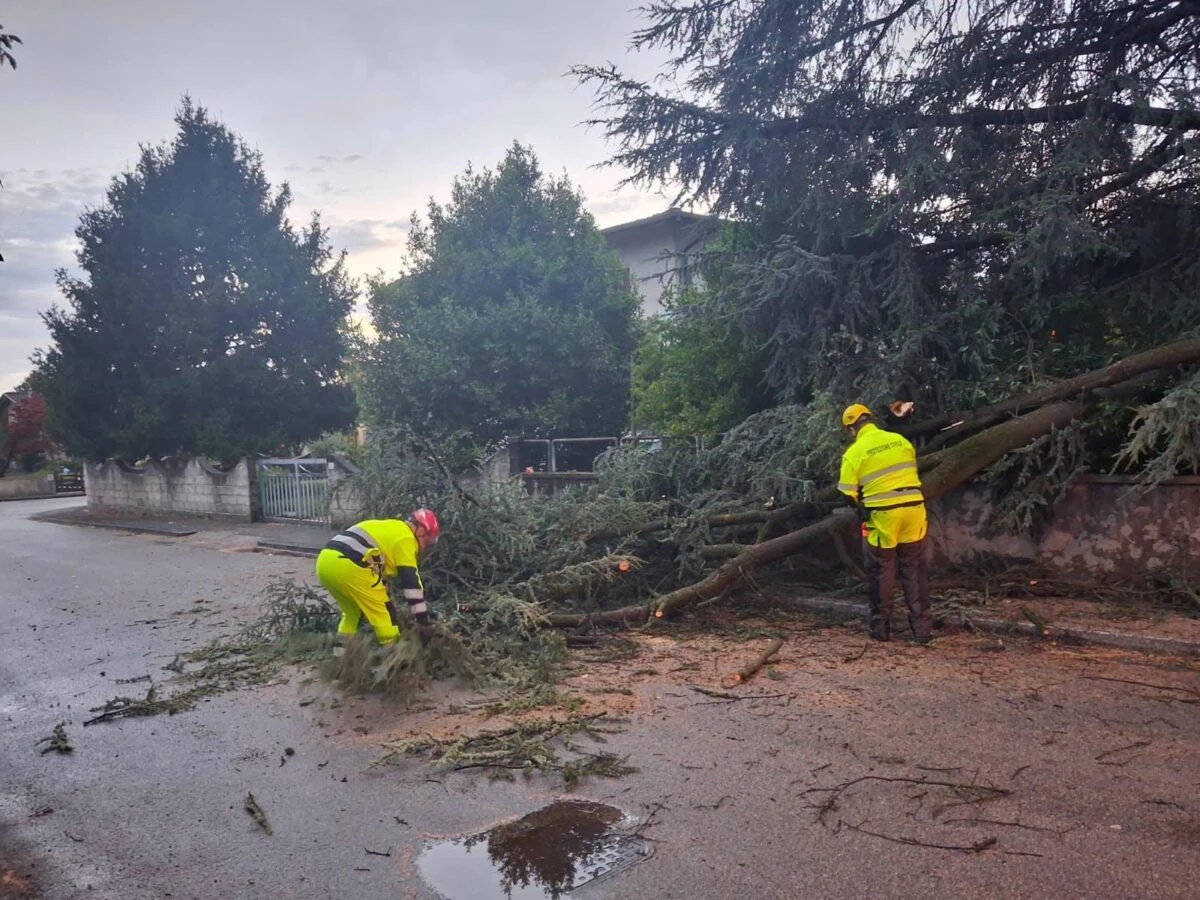 Interventi di rimozione di alberi e rami dopo il maltempo a Dueville