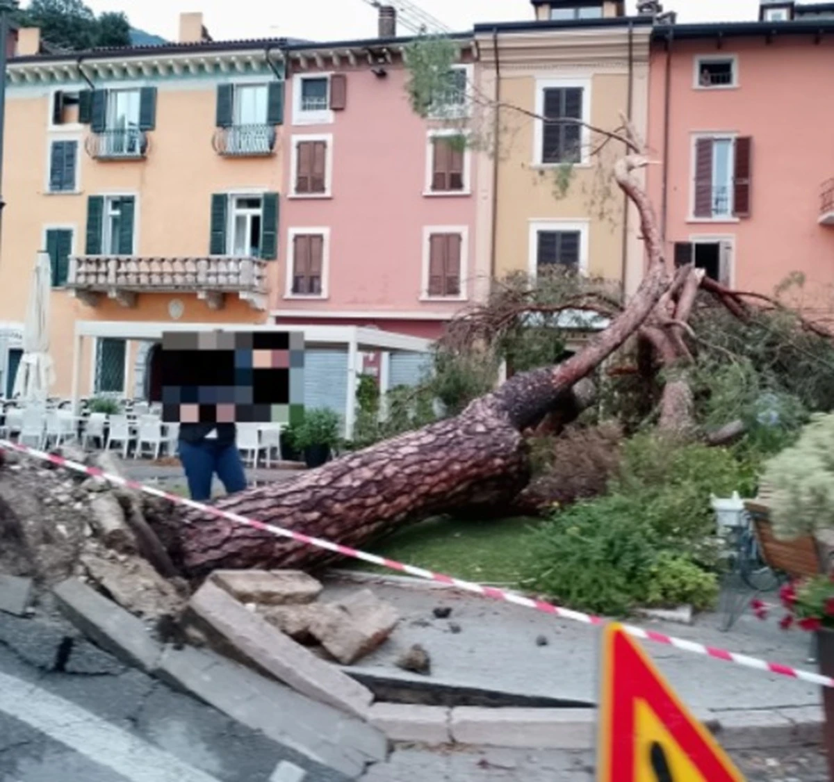 Interventi dopo la caduta di alberi durante il maltempo