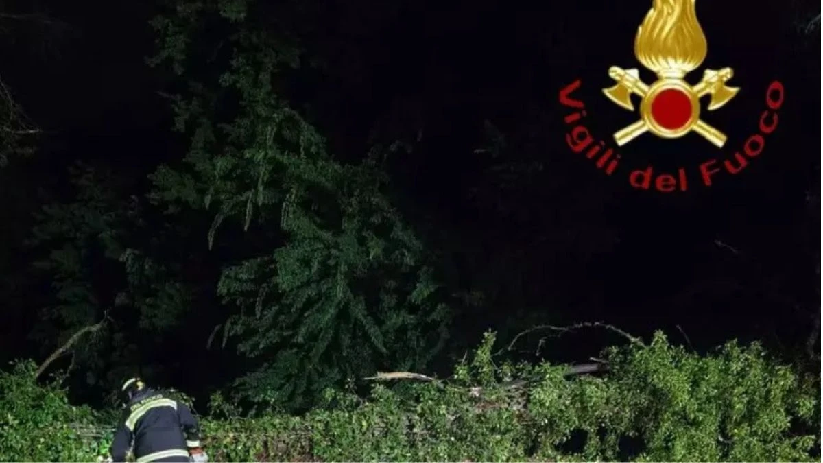 Intervento dei Vigili del fuoco in Veneto dopo vento forte e alberi caduti