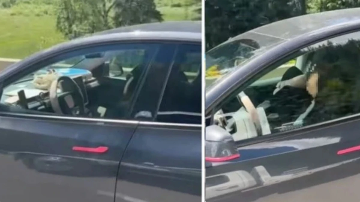 la mamma dorme e l8217auto va a 100km h con le bimbe dietro il video diventa virale da Tvzap.it la mamma dorme e l8217auto va a 100km h con le bimbe dietro il video diventa virale