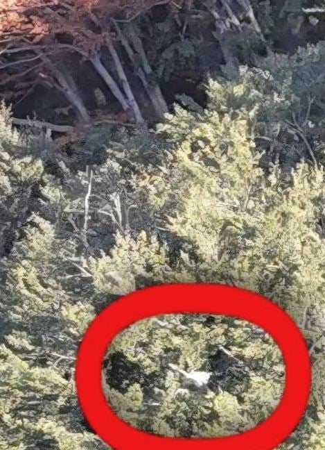 Ultraleggero precipitato a Fuscaldo, dalla scomparsa dai radar alla caduta improvvisa: i punti da chiarire con la scatola nera