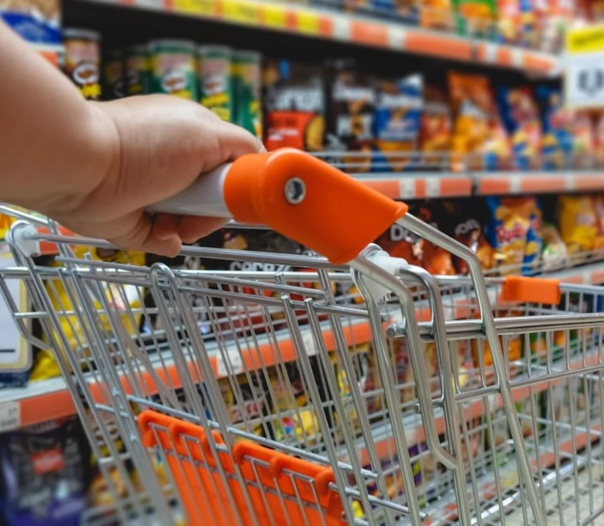supermercati aperti a ferragosto dove fare la spesa la lista di chi non chiude e le info e gli orari da Tvzap.it supermercati aperti a ferragosto dove fare la spesa la lista di chi non chiude e le info e gli orari