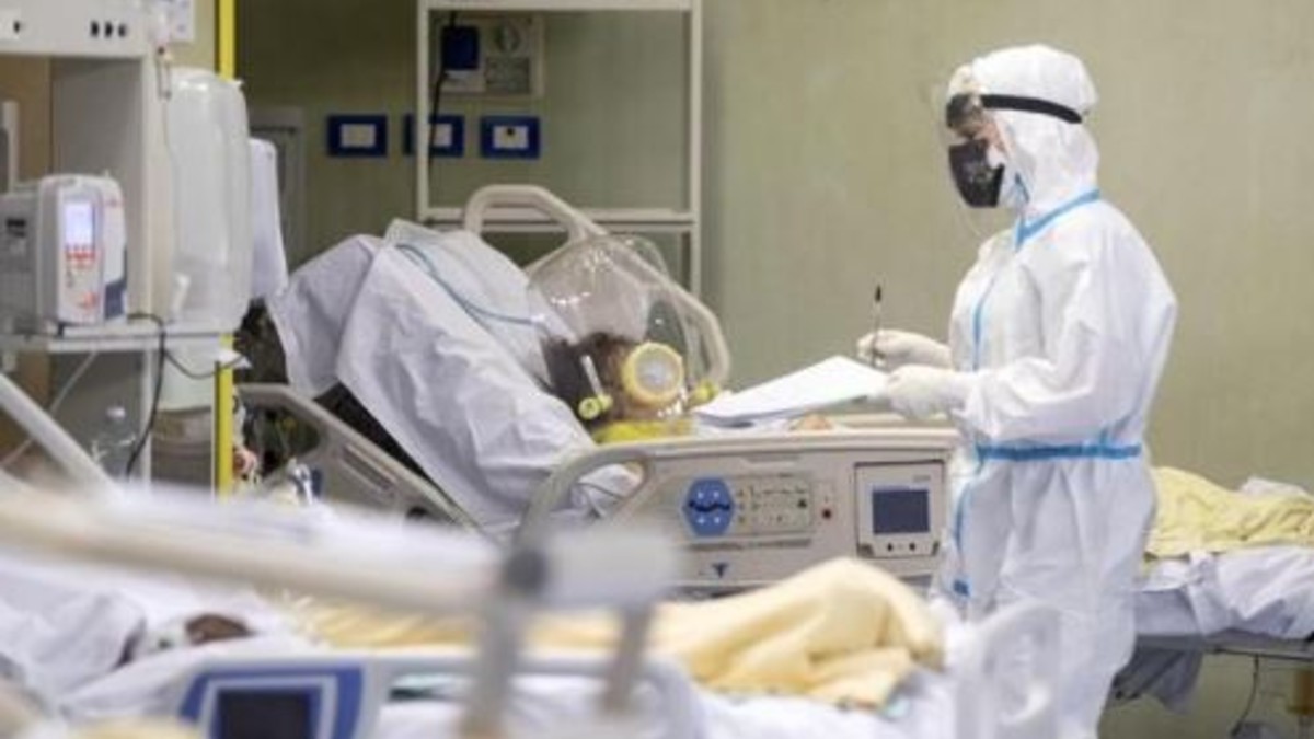 West Nile, 25 contagi e due vittime a Oristano: cresce l’allerta in Sardegna