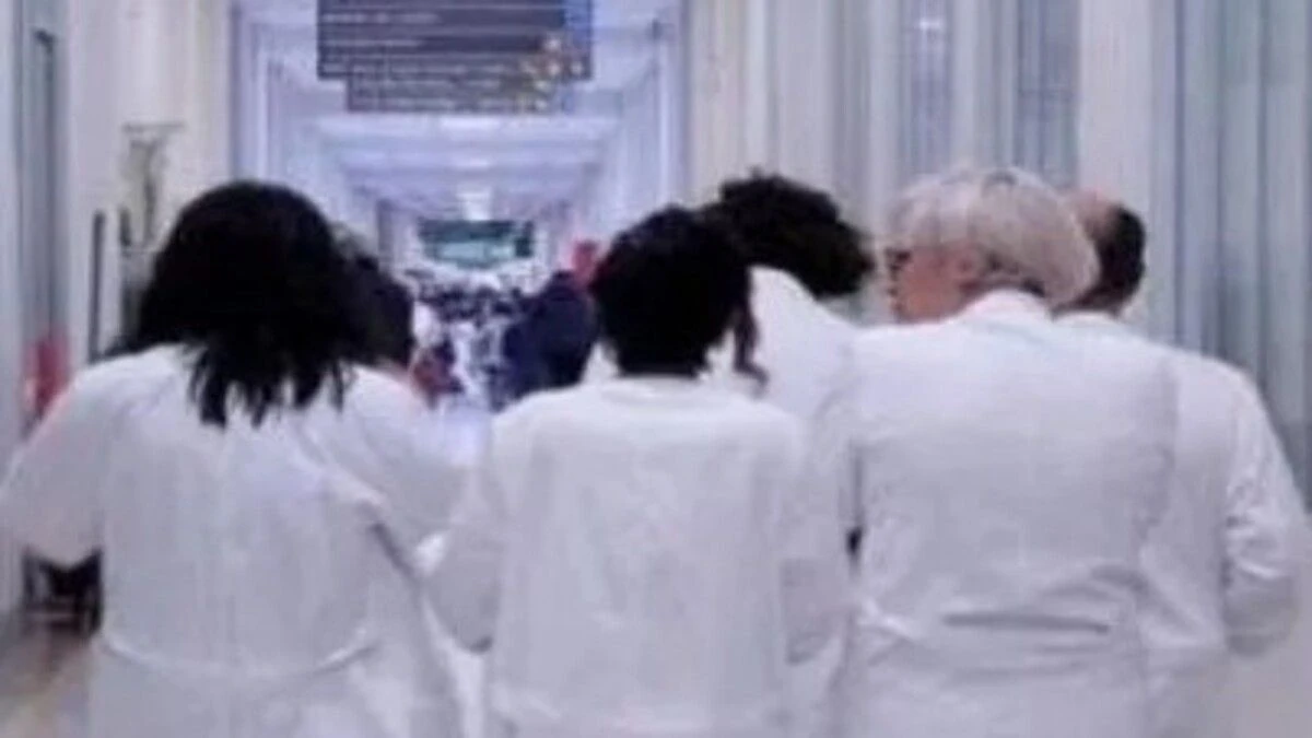 virus letale in italia morta una donna 232 allarme parte la disinfestazione da Tvzap.it virus letale in italia morta una donna 232 allarme parte la disinfestazione