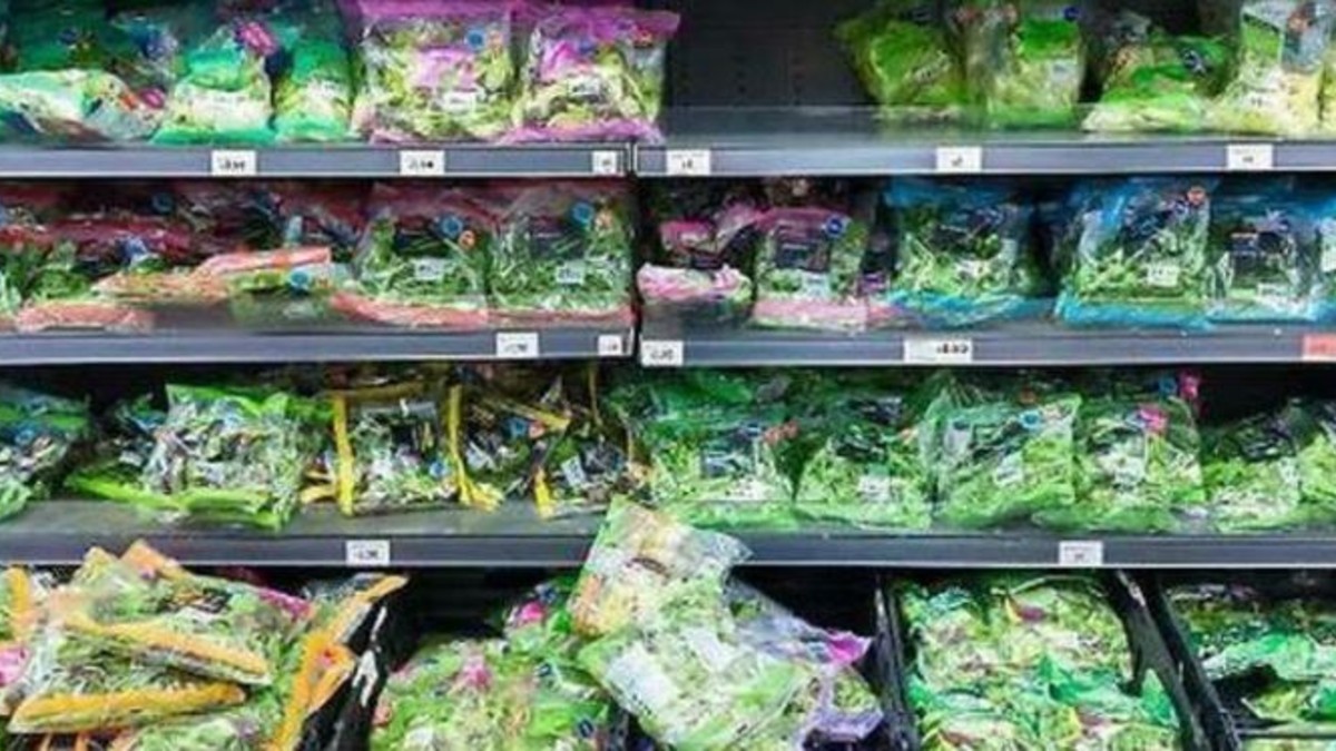 Rospo smeraldino nascosto nell’insalata in busta del supermercato: la scoperta incredibile e il salvataggio