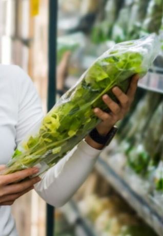 Rospo smeraldino nascosto nell’insalata in busta del supermercato: la scoperta incredibile e il salvataggio