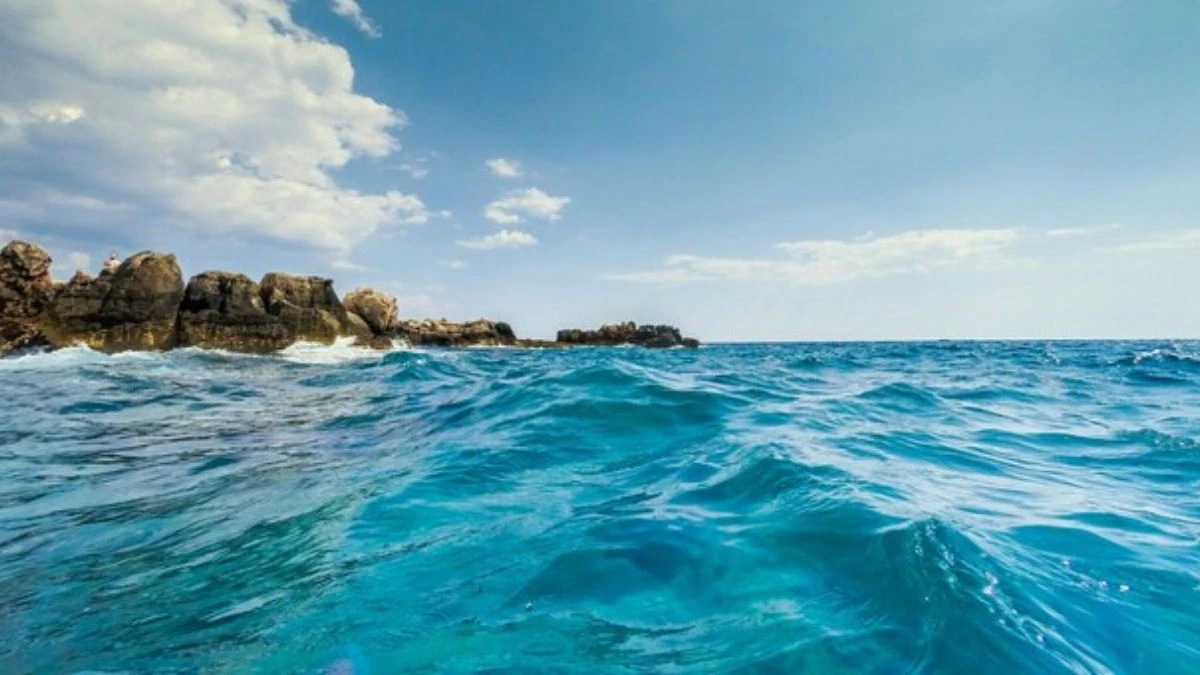 caldo shock nel mediterraneo accade una cosa mai successa prima emergenza totale da Tvzap.it caldo shock nel mediterraneo accade una cosa mai successa prima emergenza totale
