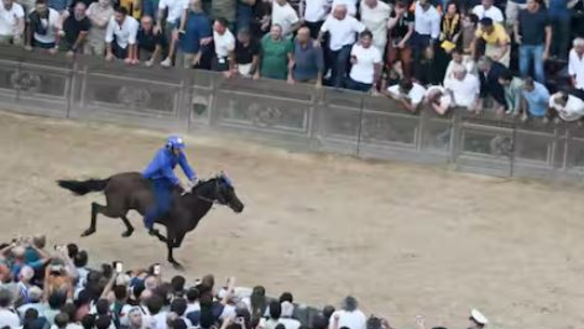 palio di siena 2026 vince il nicchio tittia ancora decisivo da Tvzap.it palio di siena 2026 vince il nicchio tittia ancora decisivo
