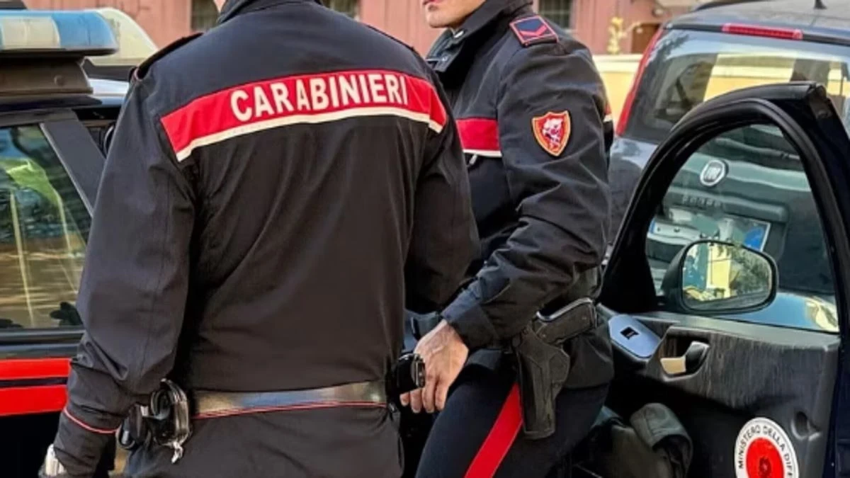 bambina di 6 anni aggredita al parco chi sono gli assalitori da Tvzap.it bambina di 6 anni aggredita al parco chi sono gli assalitori
