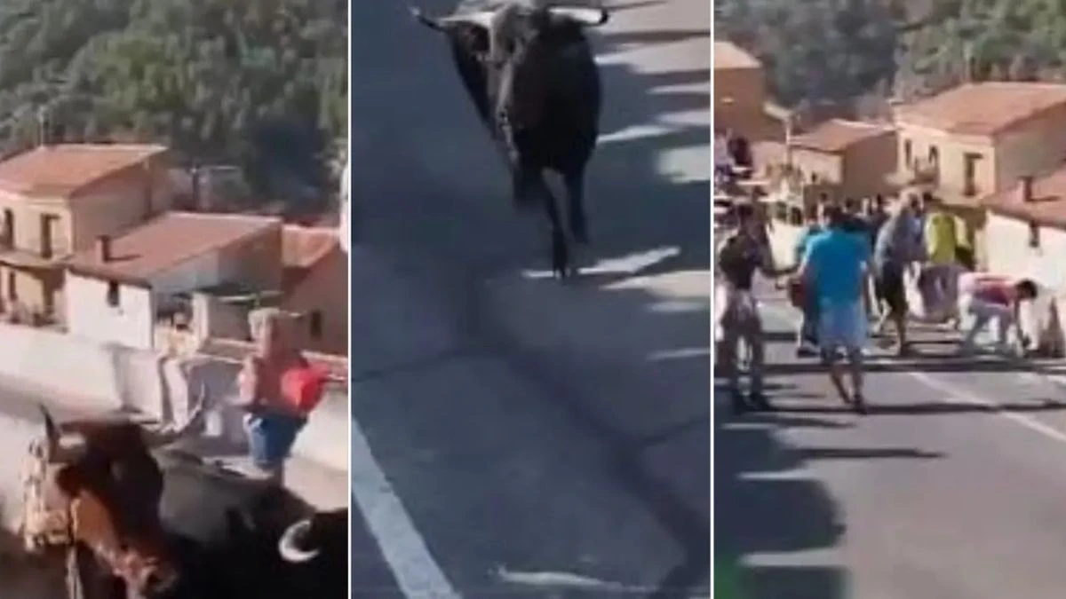 Spagna, 64enne muore incornata dal toro: incidente davanti al pubblico all'Encierro di Aýna
