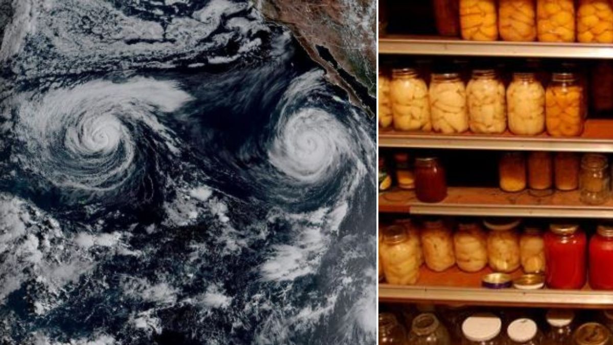 tenete scorte di cibo in casa el ni241o arriva l8217allarme che spaventa tutti da Tvzap.it tenete scorte di cibo in casa el ni241o arriva l8217allarme che spaventa tutti