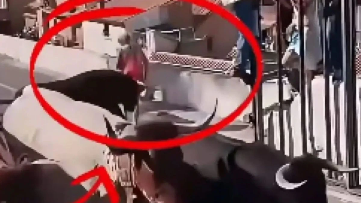 Spagna, 64enne muore incornata dal toro: incidente davanti al pubblico all'Encierro di Aýna