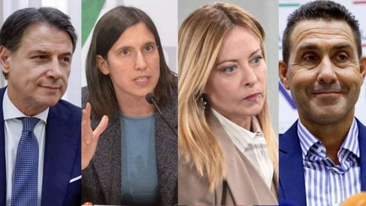crollati un disastro sondaggi 232 la prima volta che succede e c8217232 chi gode da Tvzap.it crollati un disastro sondaggi 232 la prima volta che succede e c8217232 chi gode