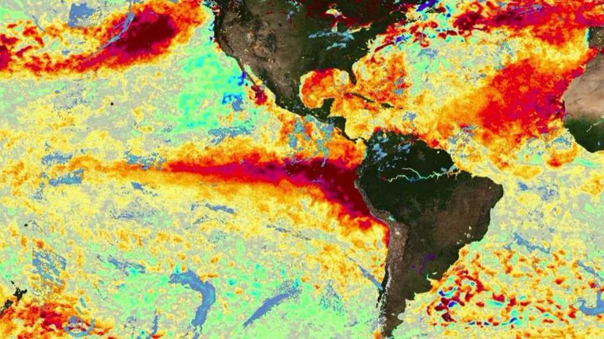 il super el ni241o causer224 450000 morti nei prossimi sei mesi la previsione shock degli scienziati da Tvzap.it il super el ni241o causer224 450000 morti nei prossimi sei mesi la previsione shock degli scienziati