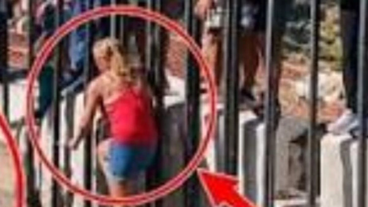 Spagna, 64enne muore incornata dal toro: incidente davanti al pubblico all'Encierro di Aýna