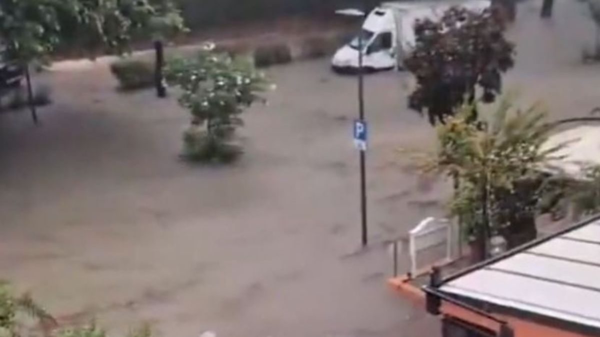 morta annegata maltempo spaventoso in italia la tragedia proprio l236 da Tvzap.it morta annegata maltempo spaventoso in italia la tragedia proprio l236