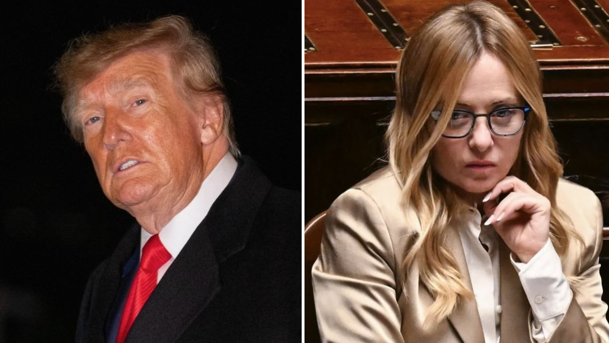 trump contro meloni parole di fuoco non 232 un granch2338230 da Tvzap.it trump contro meloni parole di fuoco non 232 un granch2338230